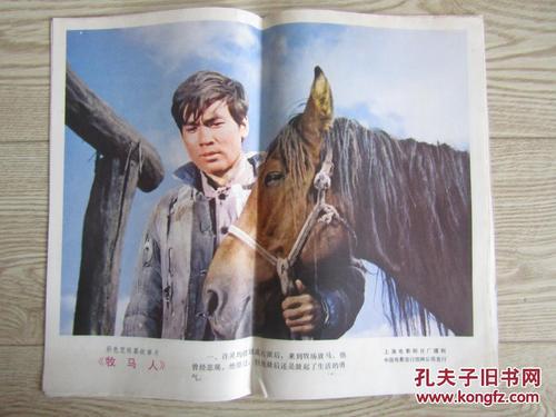 毕业证学位证电子注册备案表